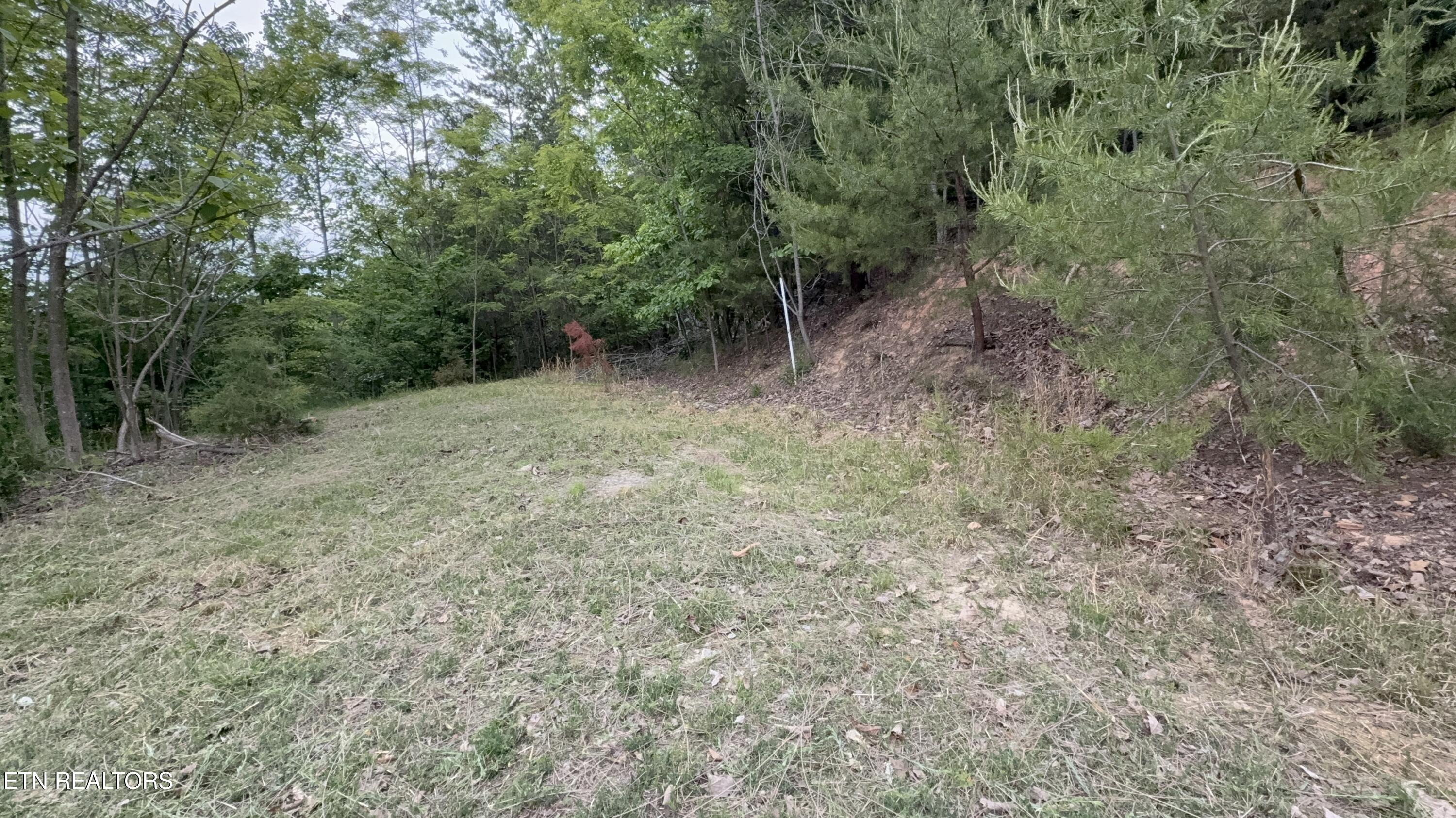 211 Blackstone Lane New Tazewell TN 37825