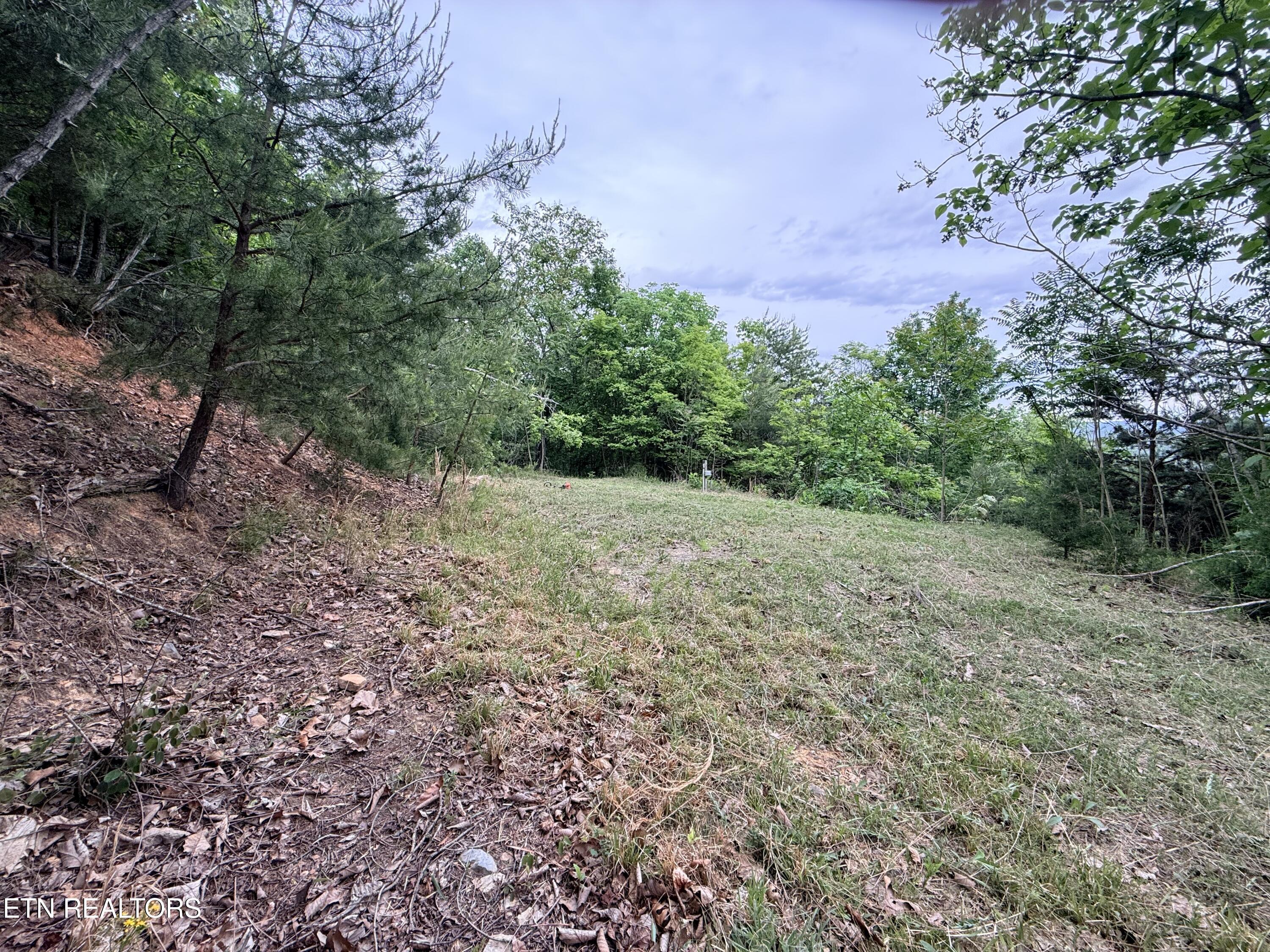 211 Blackstone Lane New Tazewell TN 37825