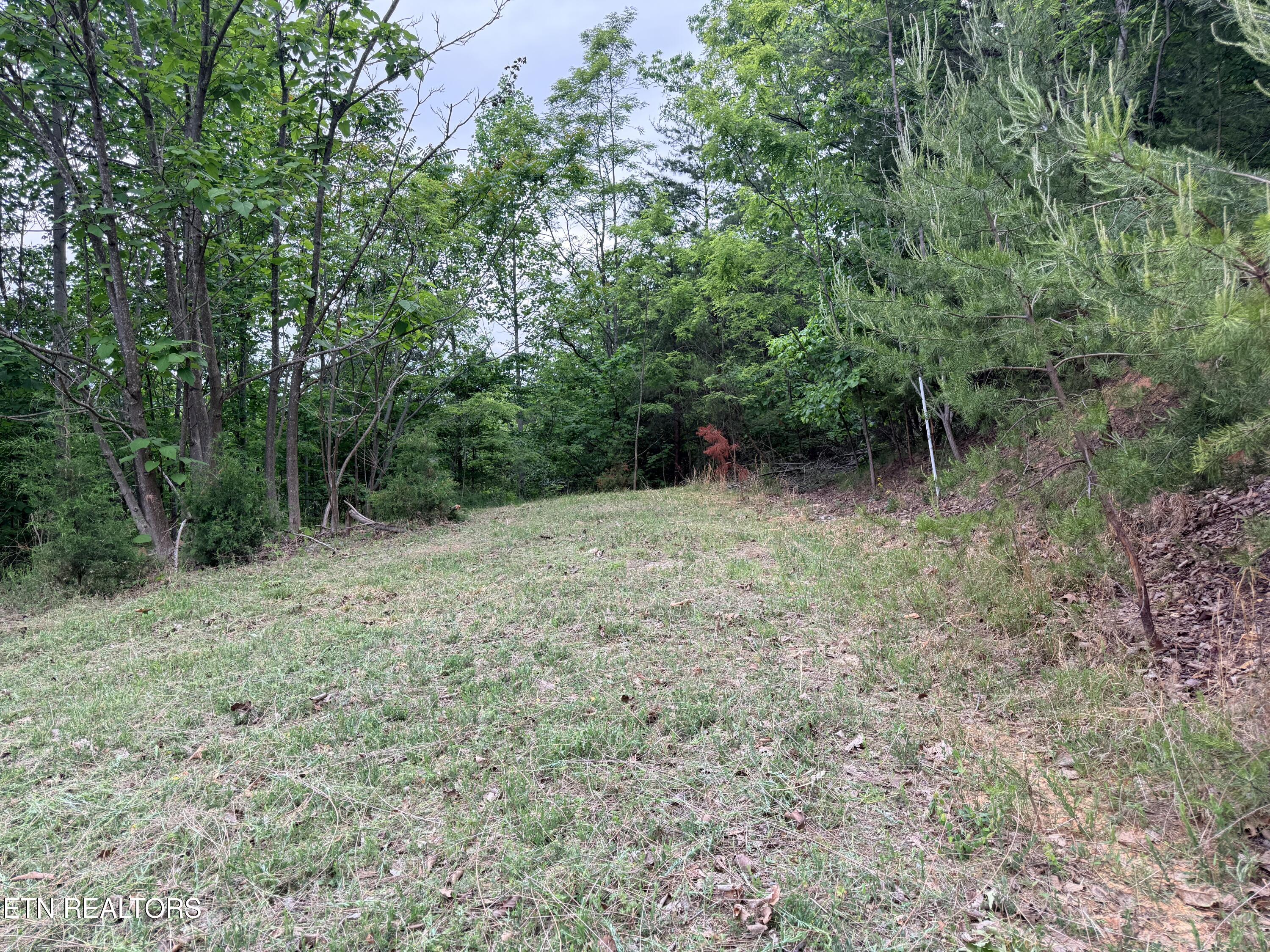 211 Blackstone Lane New Tazewell TN 37825