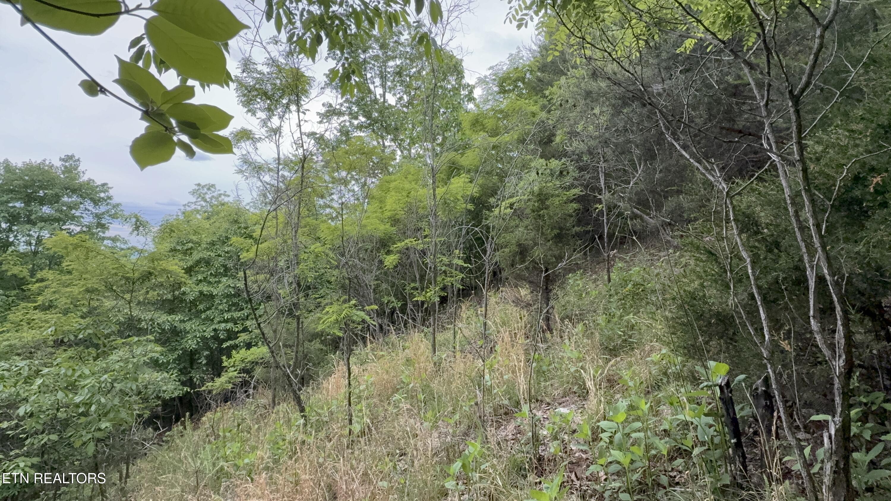 211 Blackstone Lane New Tazewell TN 37825