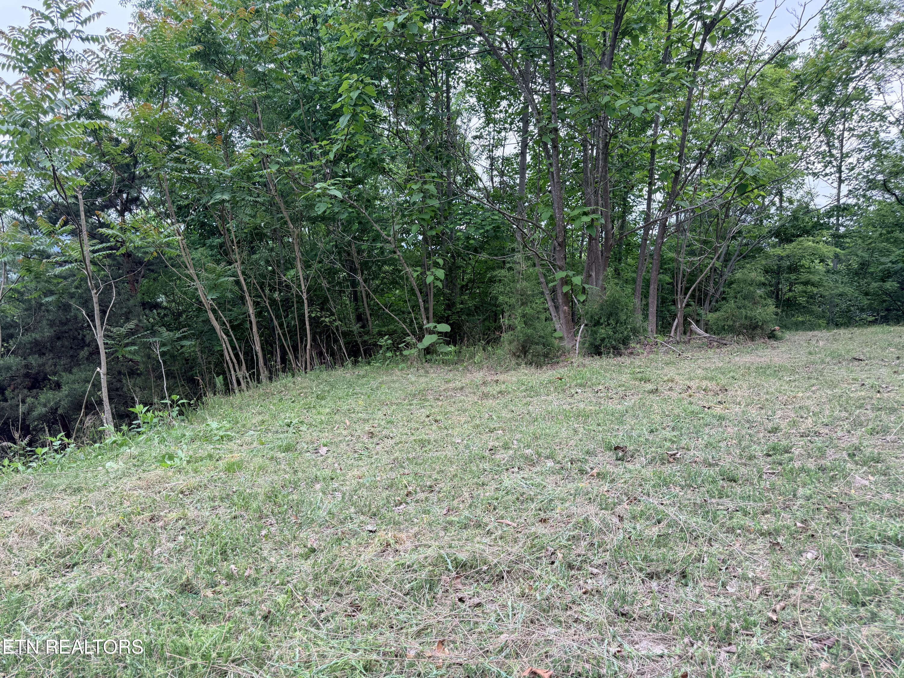 211 Blackstone Lane New Tazewell TN 37825