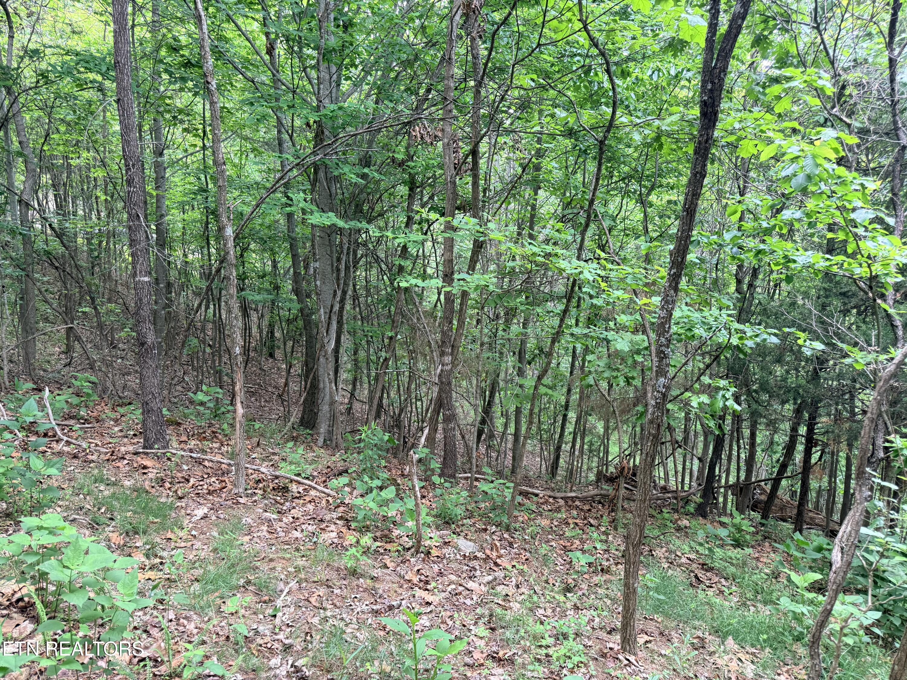 211 Blackstone Lane New Tazewell TN 37825