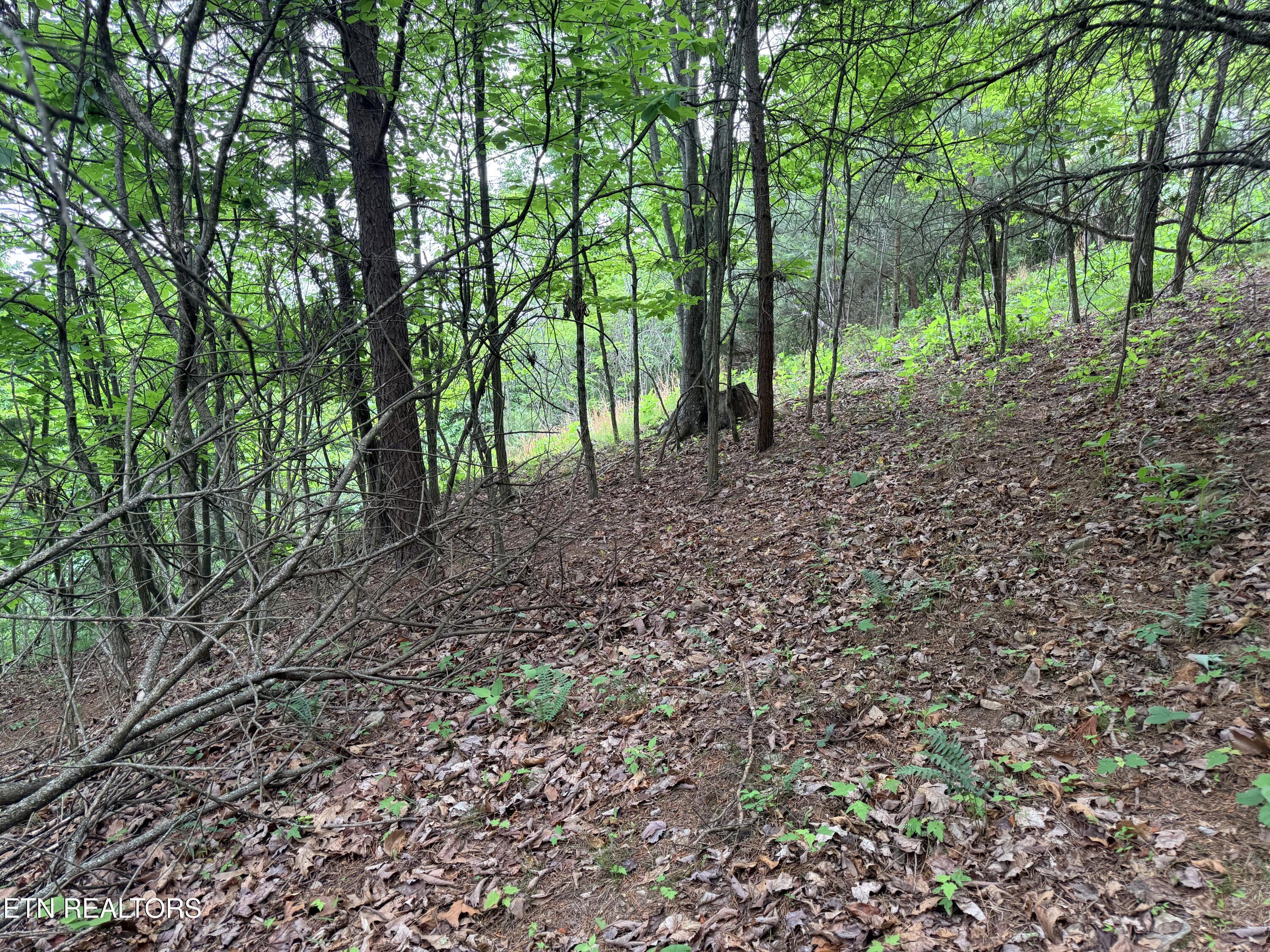 211 Blackstone Lane New Tazewell TN 37825