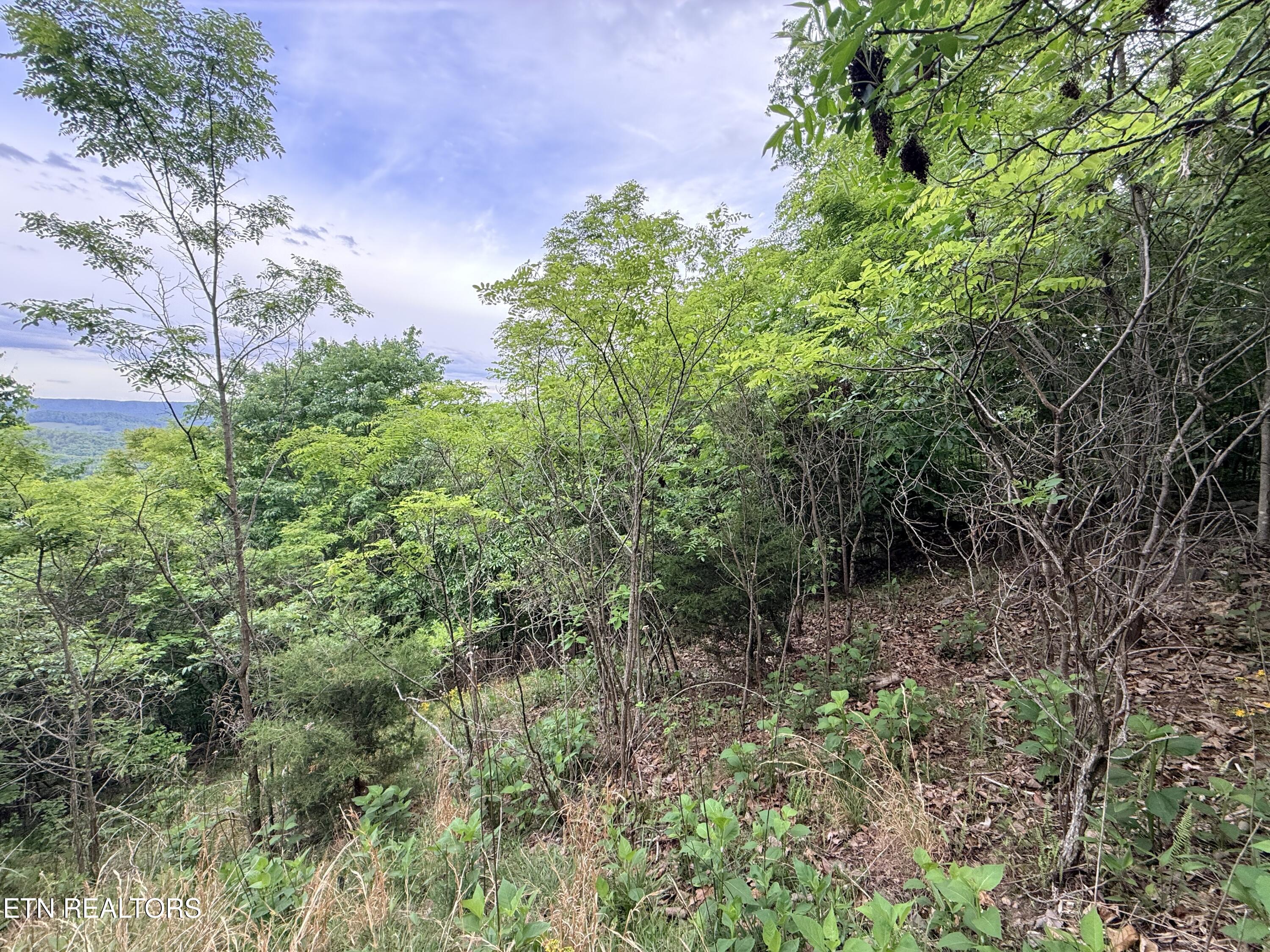211 Blackstone Lane New Tazewell TN 37825