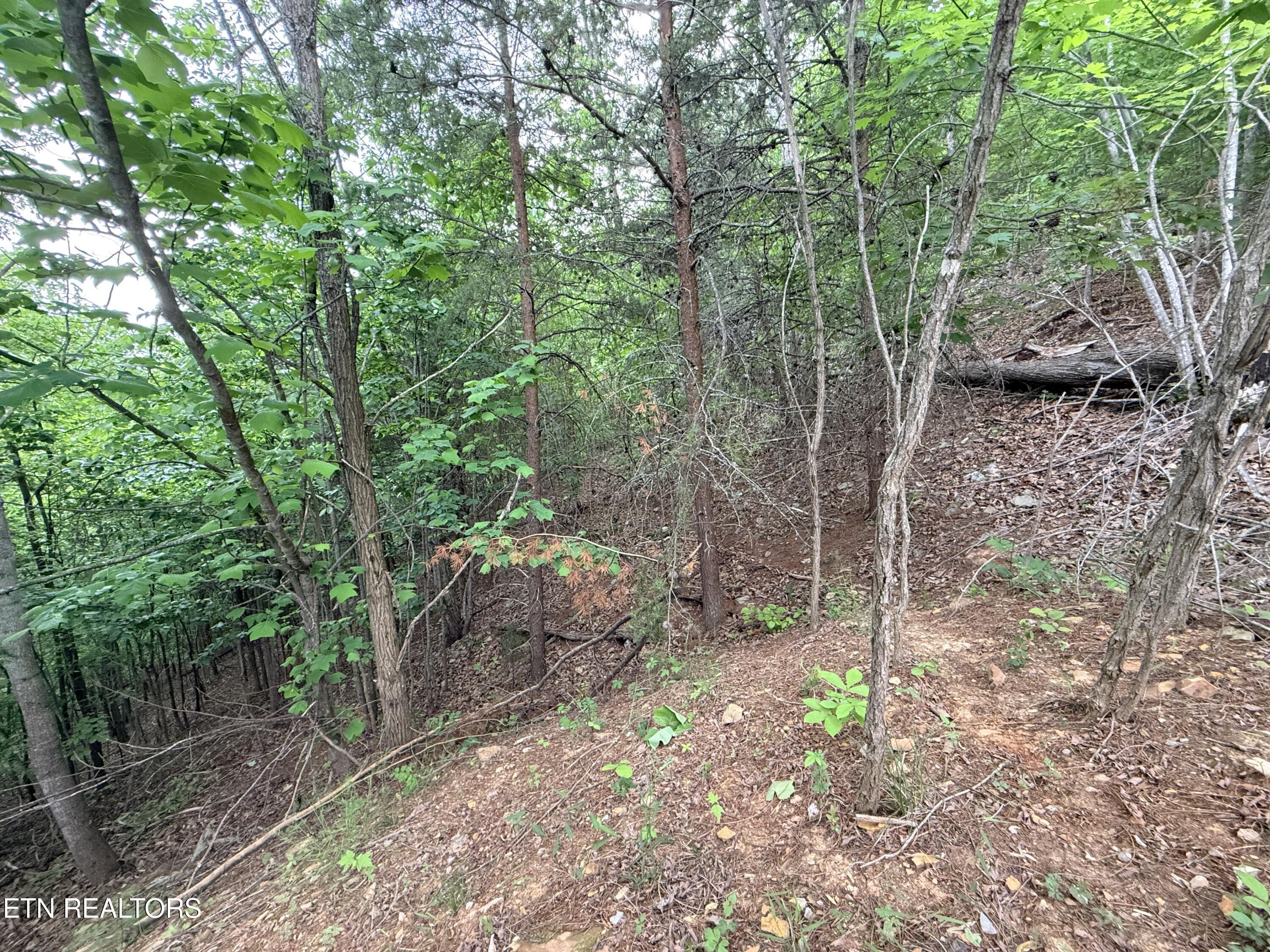 211 Blackstone Lane New Tazewell TN 37825