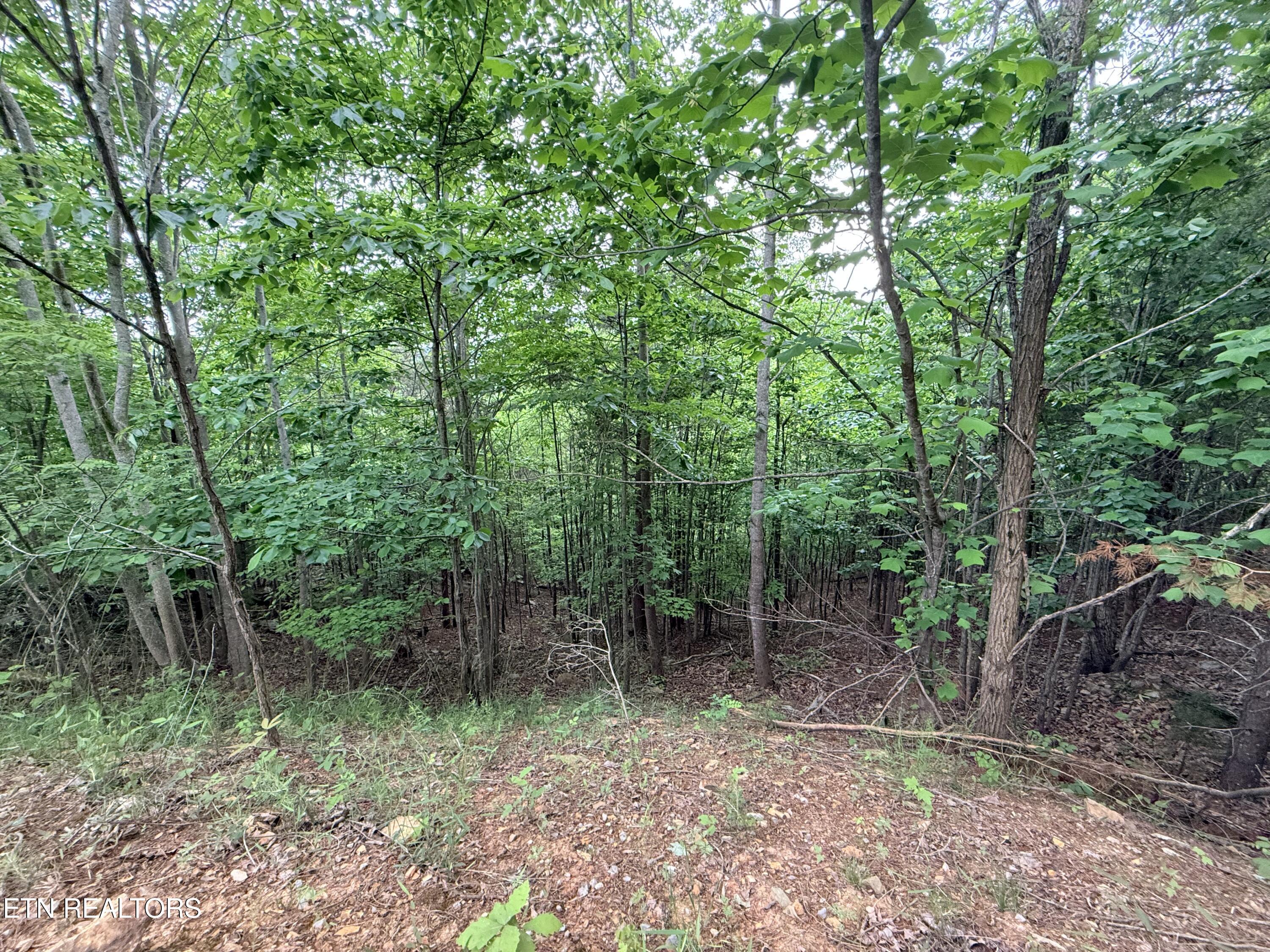 211 Blackstone Lane New Tazewell TN 37825