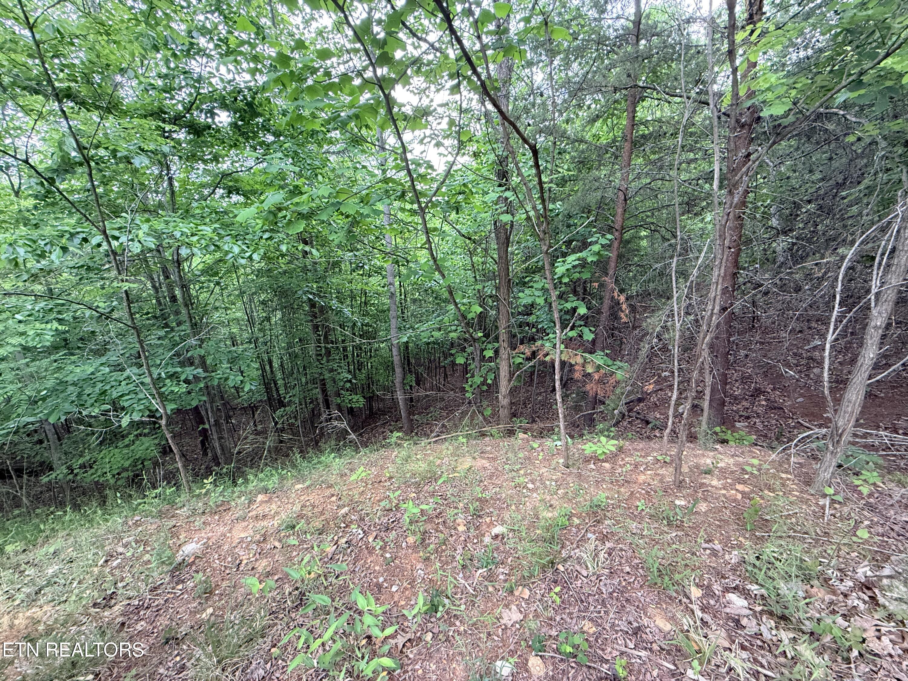 211 Blackstone Lane New Tazewell TN 37825