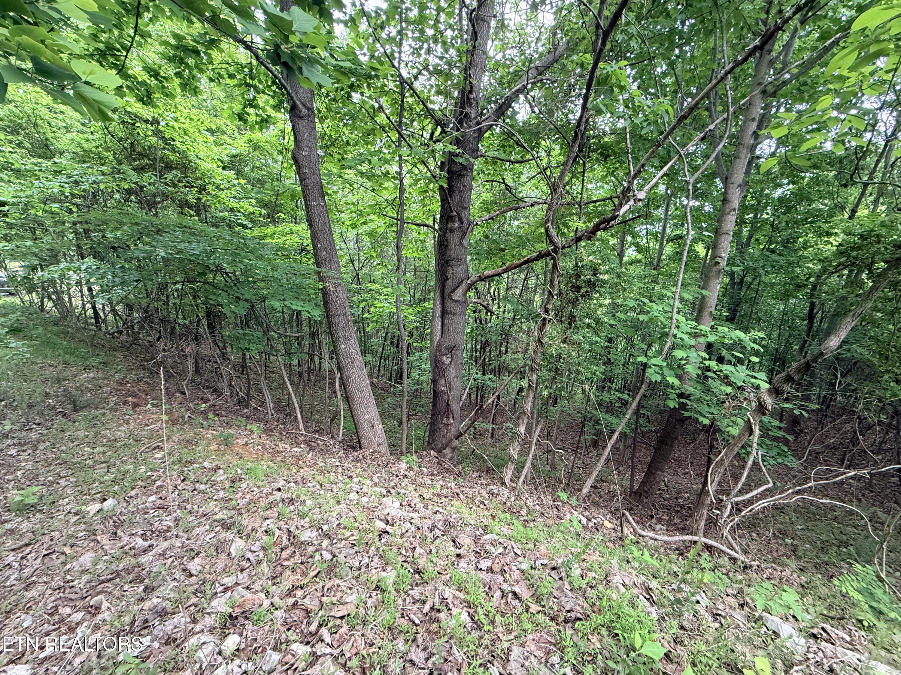 211 Blackstone Lane New Tazewell TN 37825