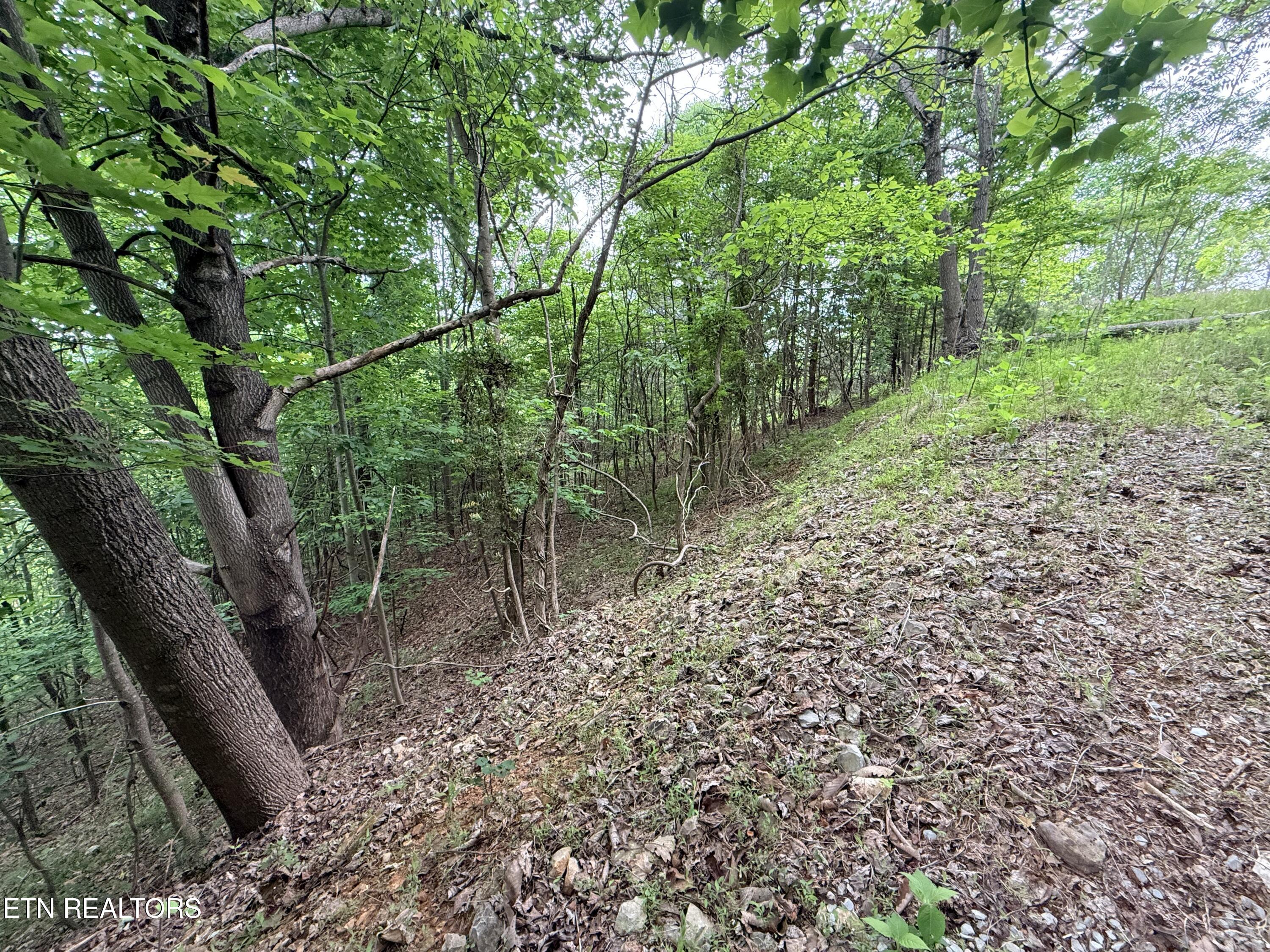 211 Blackstone Lane New Tazewell TN 37825