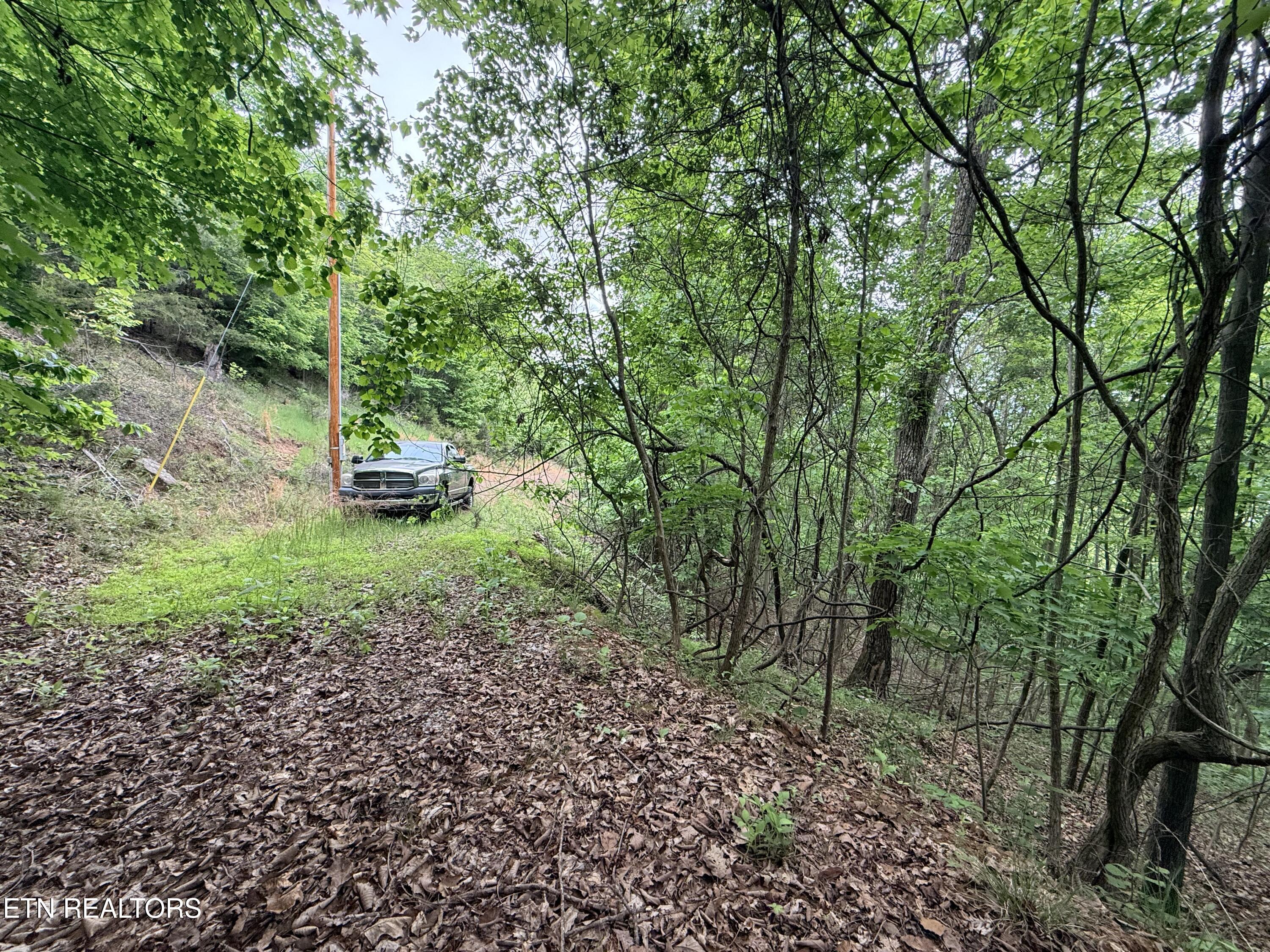 211 Blackstone Lane New Tazewell TN 37825