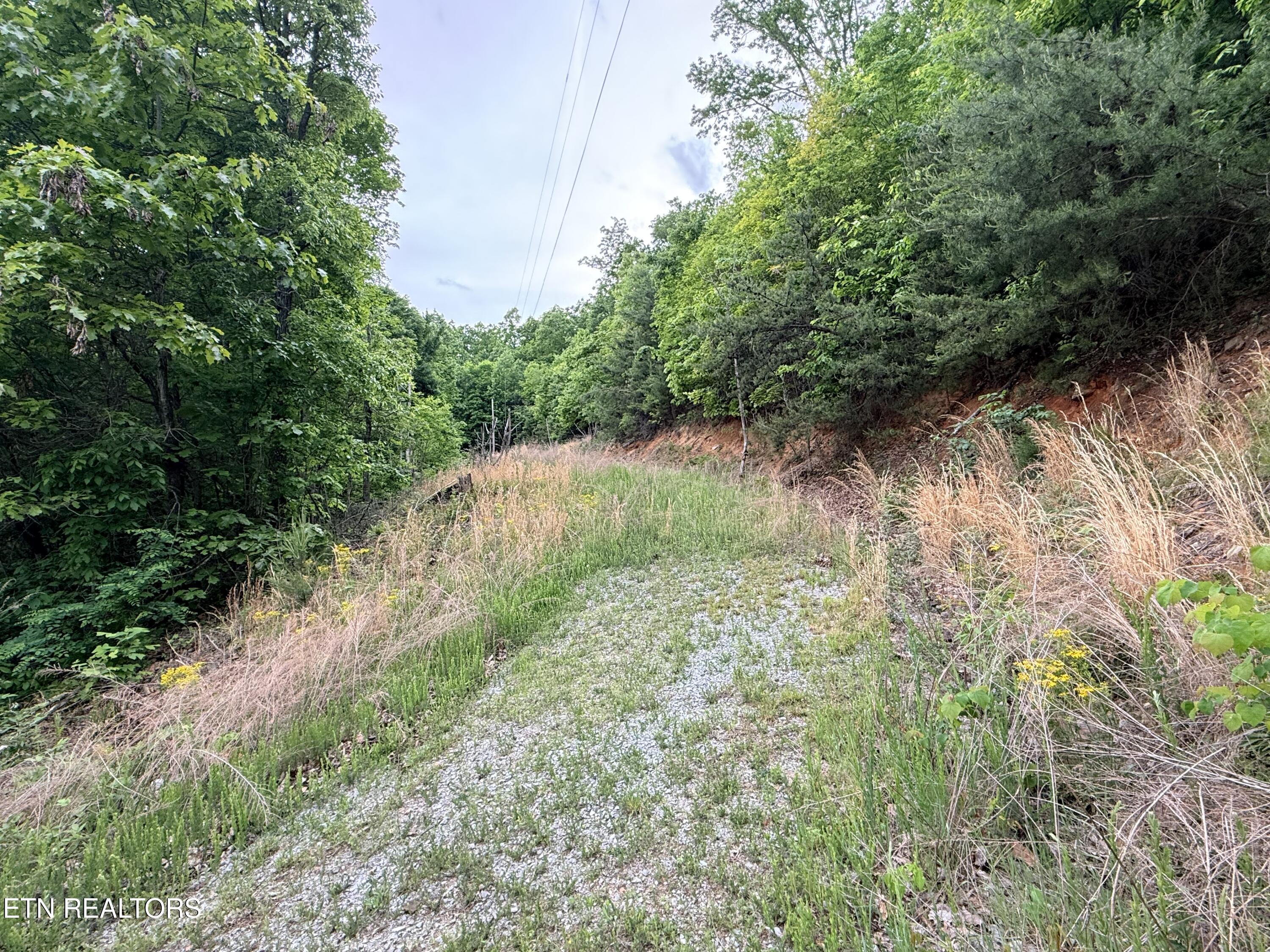 211 Blackstone Lane New Tazewell TN 37825