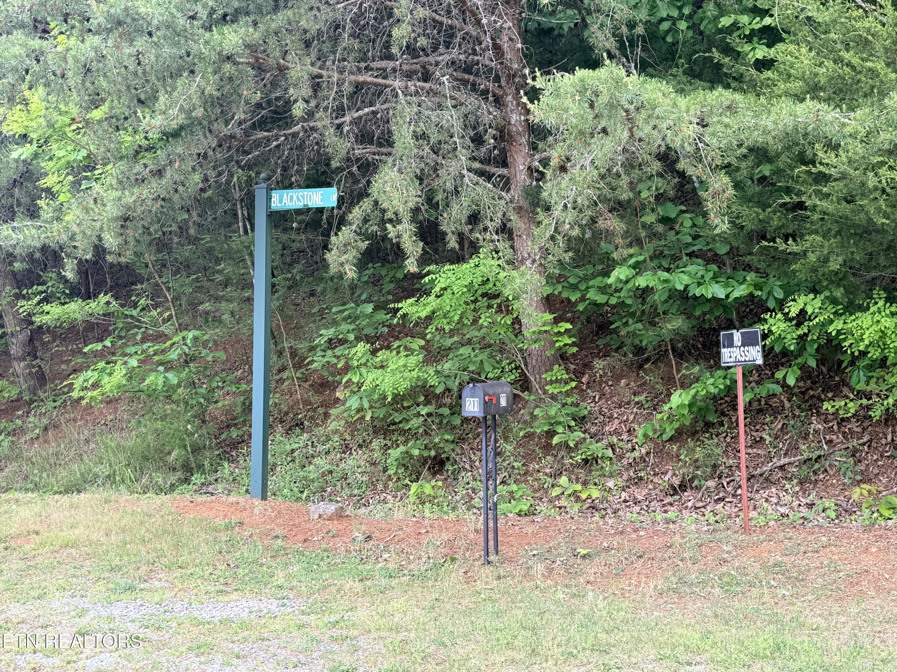 211 Blackstone Lane New Tazewell TN 37825