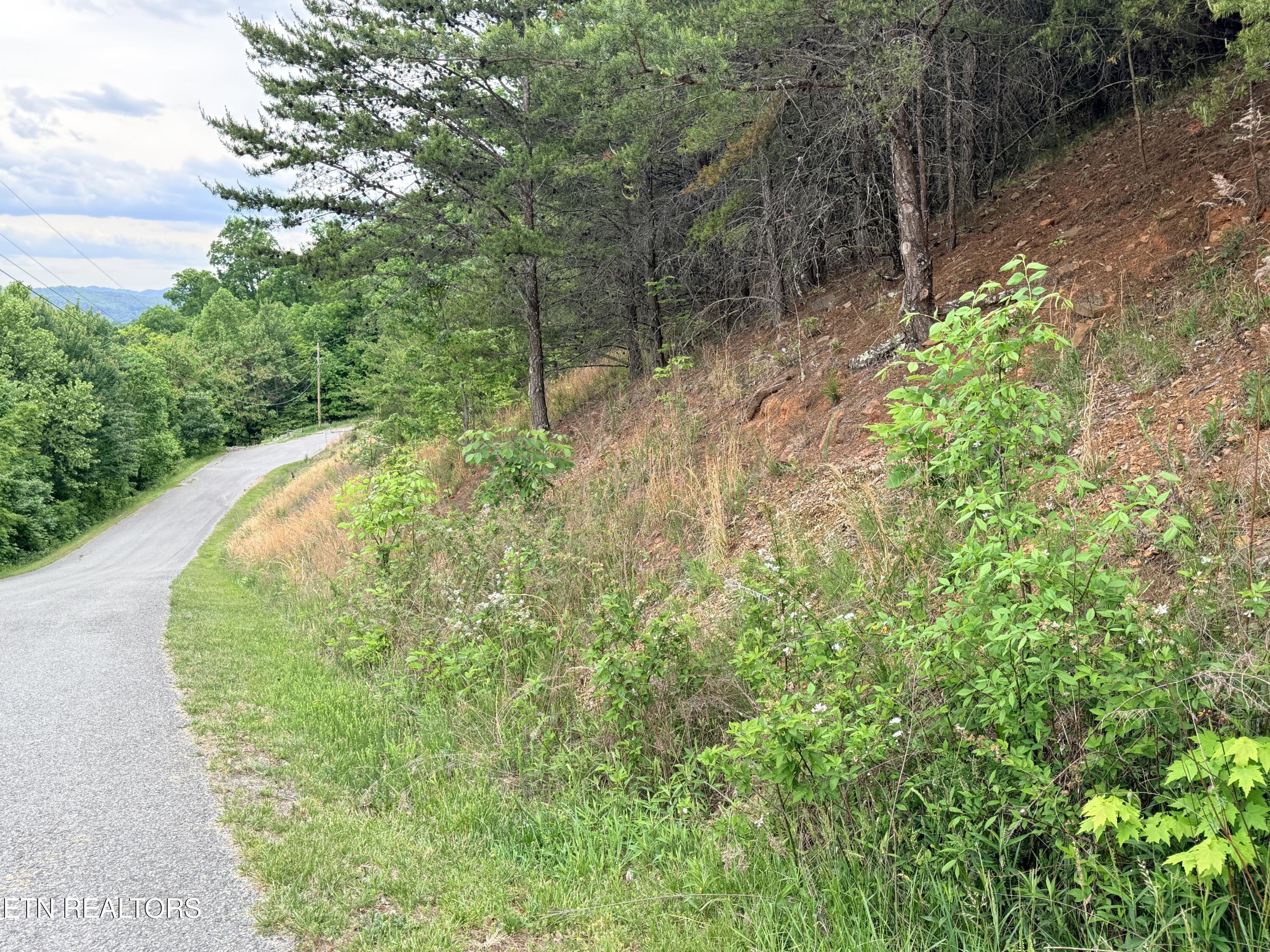 211 Blackstone Lane New Tazewell TN 37825