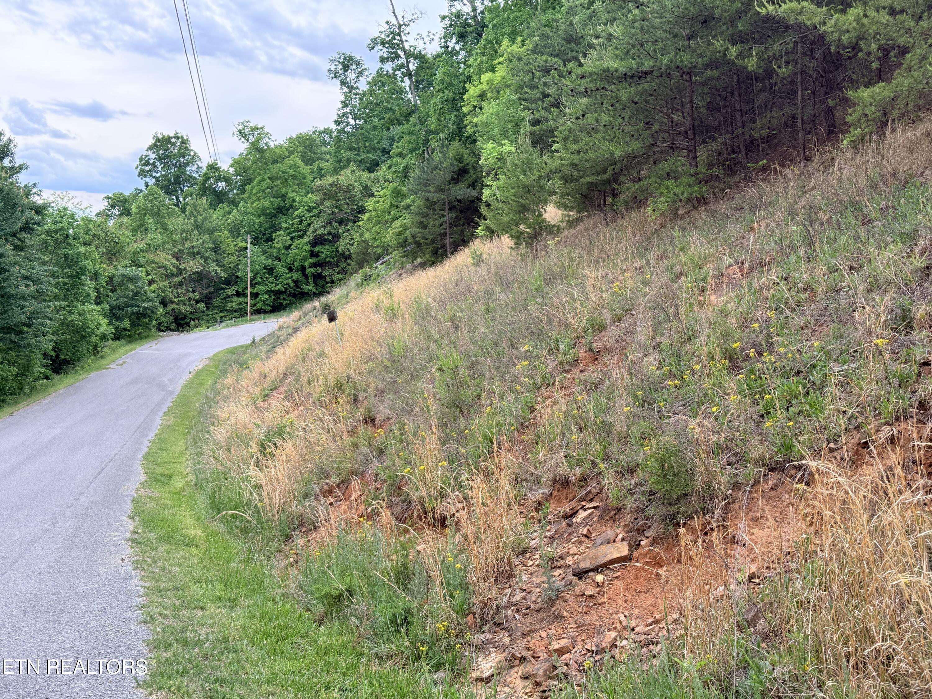 211 Blackstone Lane New Tazewell TN 37825