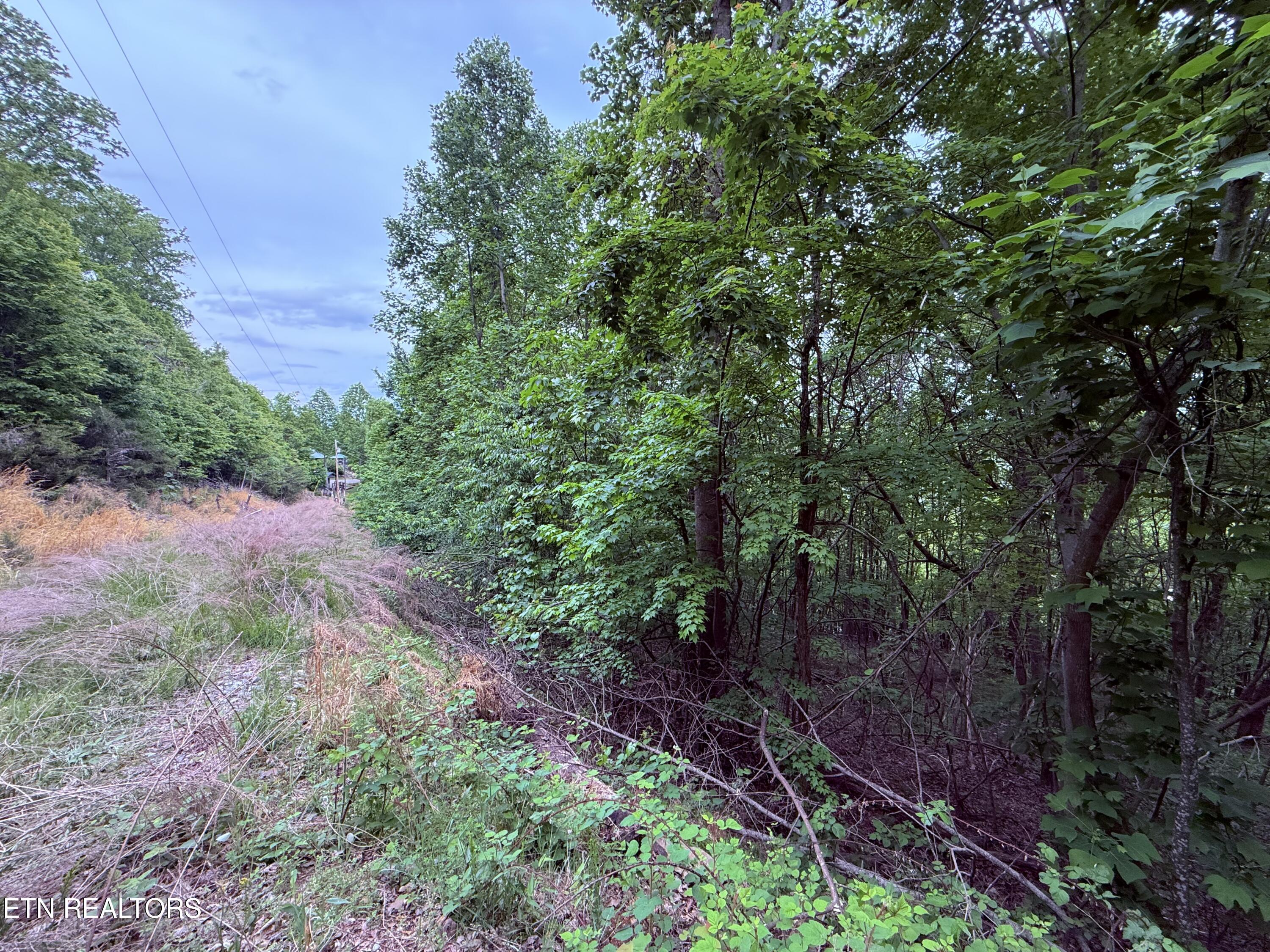 211 Blackstone Lane New Tazewell TN 37825