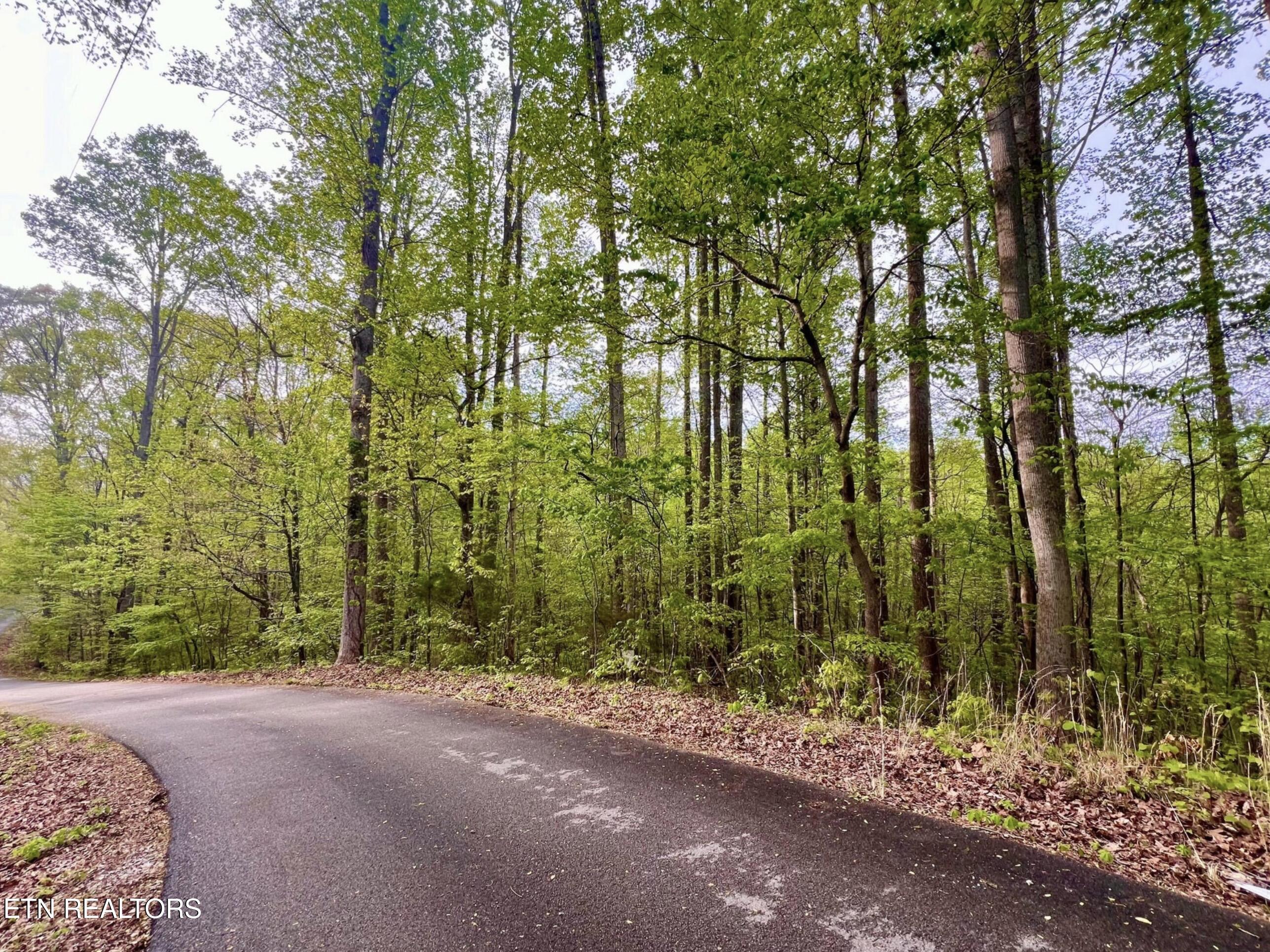Lot 76&77 Polly Mountain Road Madisonville TN 37354