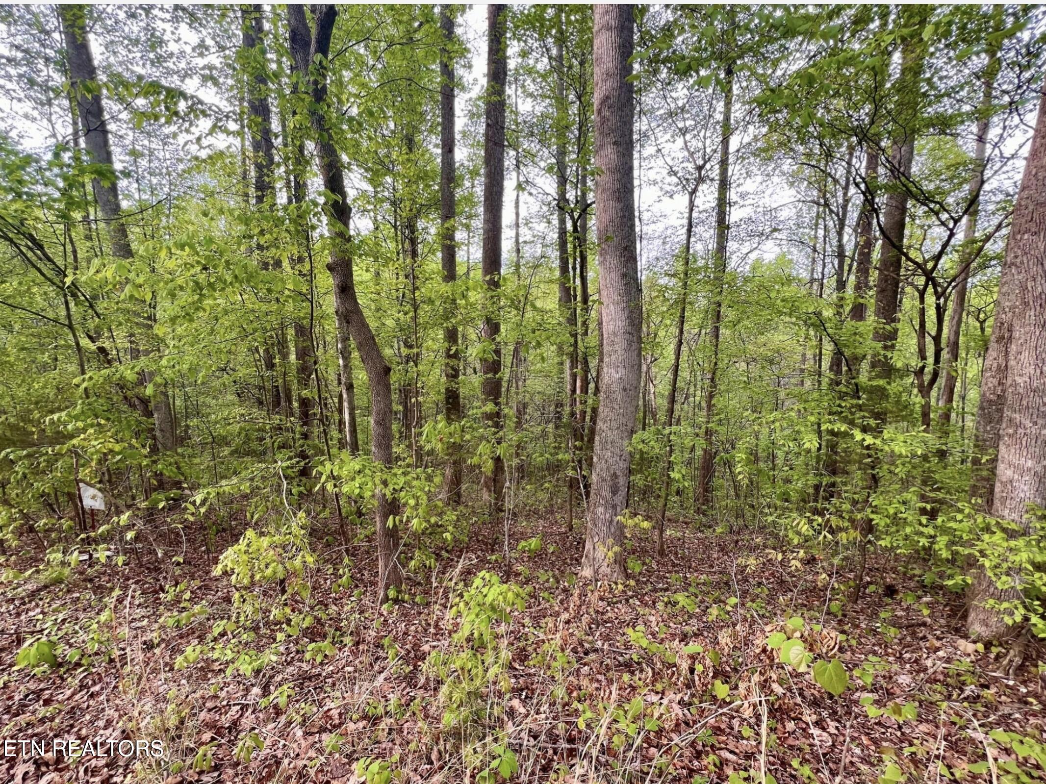 Lot 76&77 Polly Mountain Road Madisonville TN 37354