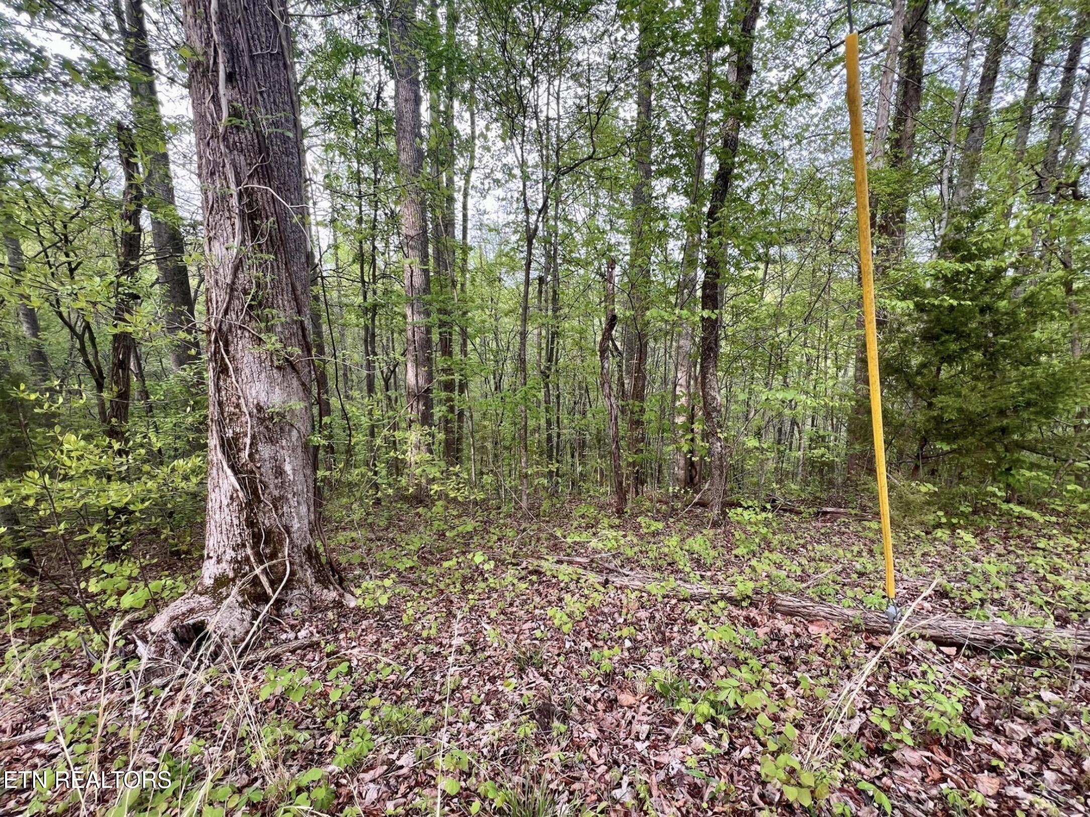 Lot 76&77 Polly Mountain Road Madisonville TN 37354