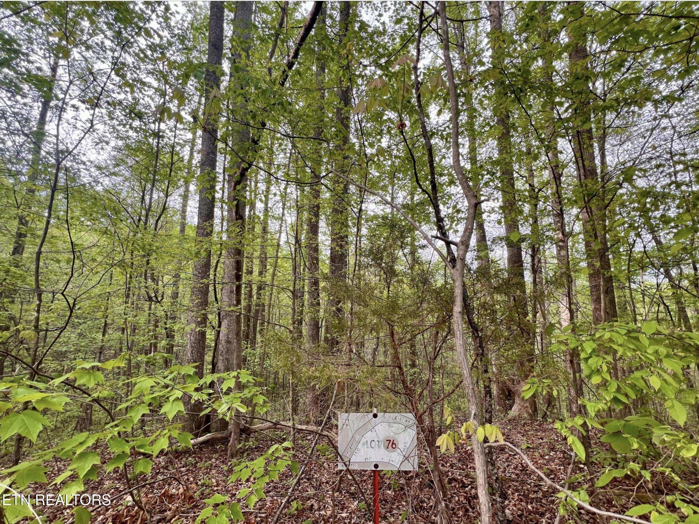 Lot 76&77 Polly Mountain Road Madisonville TN 37354