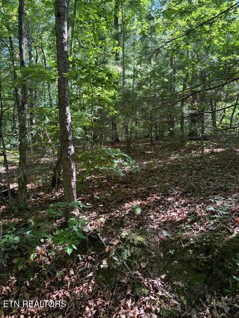 Lot 3 Old Furnace Road Tellico Plains TN 37385