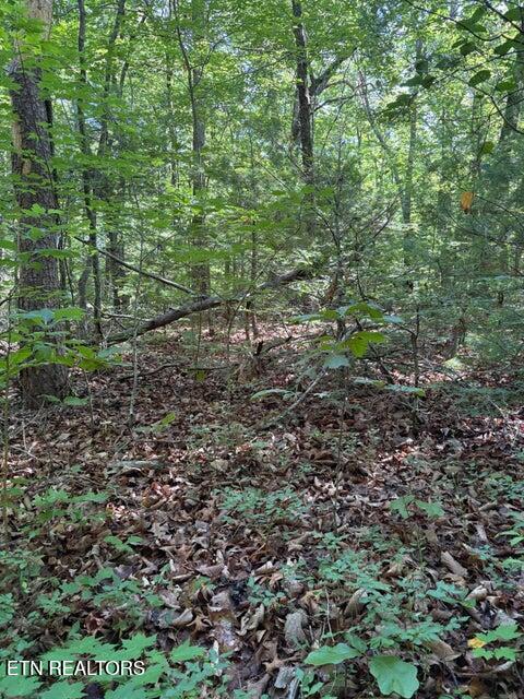 Lot 3 Old Furnace Road Tellico Plains TN 37385
