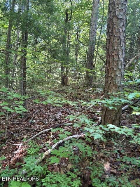 Lot 3 Old Furnace Road Tellico Plains TN 37385
