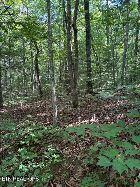Lot 3 Old Furnace Road Tellico Plains TN 37385