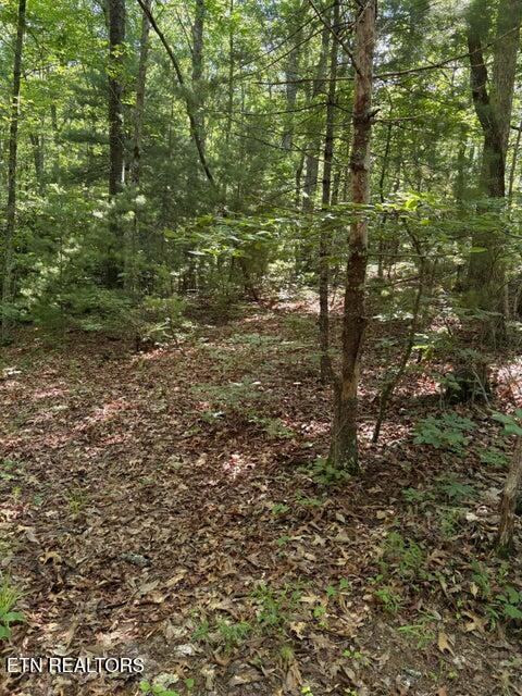 Lot 3 Old Furnace Road Tellico Plains TN 37385