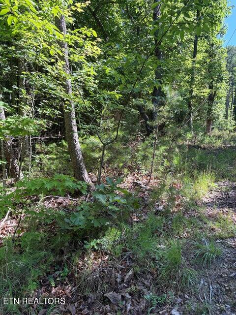 Lot 3 Old Furnace Road Tellico Plains TN 37385