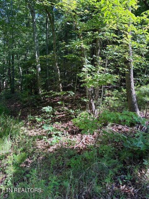 Lot 3 Old Furnace Road Tellico Plains TN 37385