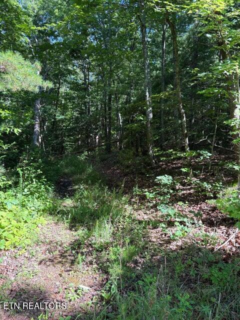 Lot 3 Old Furnace Road Tellico Plains TN 37385