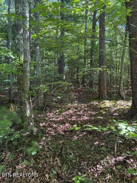 Lot 3 Old Furnace Road Tellico Plains TN 37385