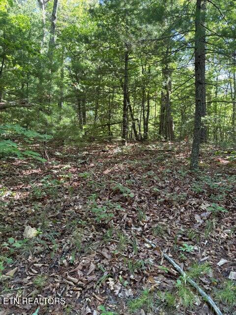 Lot 3 Old Furnace Road Tellico Plains TN 37385