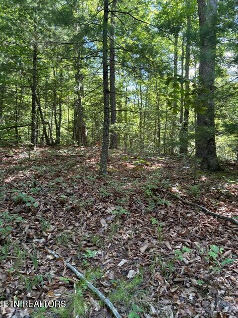 Lot 3 Old Furnace Road Tellico Plains TN 37385