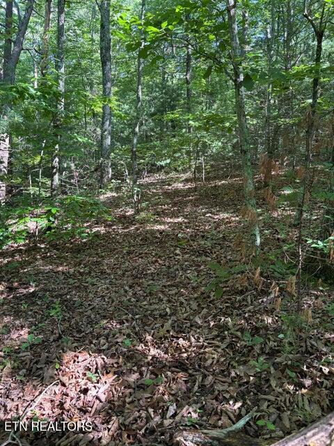 Lot 3 Old Furnace Road Tellico Plains TN 37385