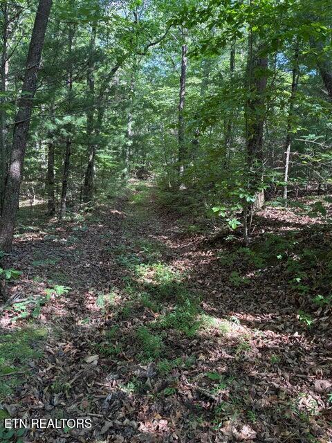 Lot 3 Old Furnace Road Tellico Plains TN 37385