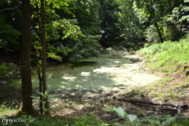425 Baugh Hollow Lane Gainesboro TN 38562