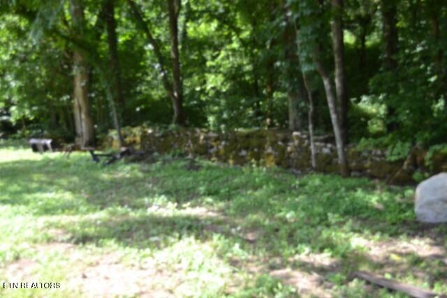 425 Baugh Hollow Lane Gainesboro TN 38562