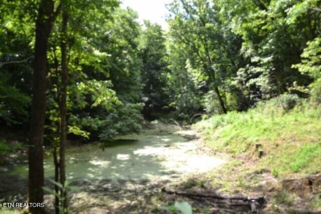 425 Baugh Hollow Lane Gainesboro TN 38562