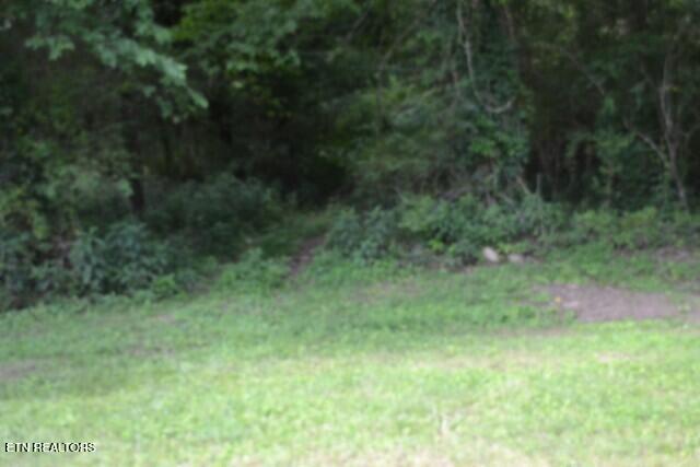 425 Baugh Hollow Lane Gainesboro TN 38562
