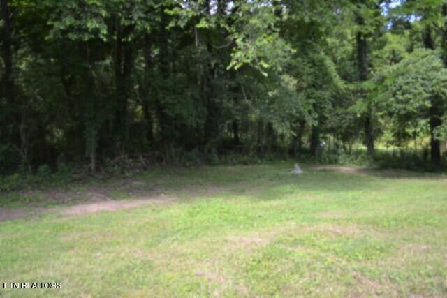 425 Baugh Hollow Lane Gainesboro TN 38562