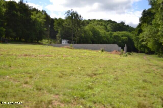 425 Baugh Hollow Lane Gainesboro TN 38562