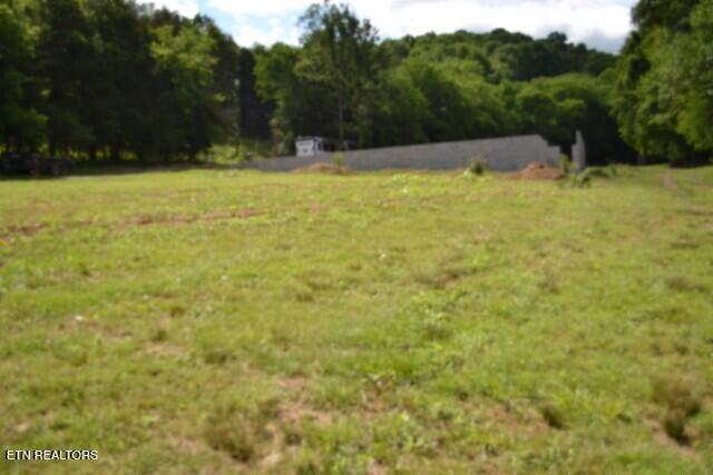 425 Baugh Hollow Lane Gainesboro TN 38562