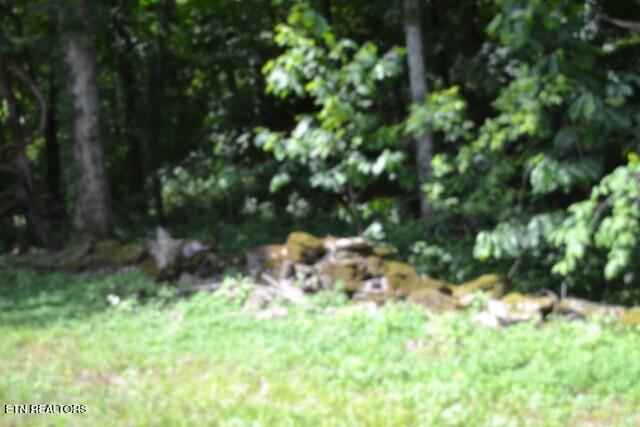425 Baugh Hollow Lane Gainesboro TN 38562