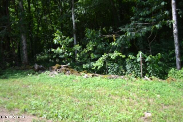 425 Baugh Hollow Lane Gainesboro TN 38562