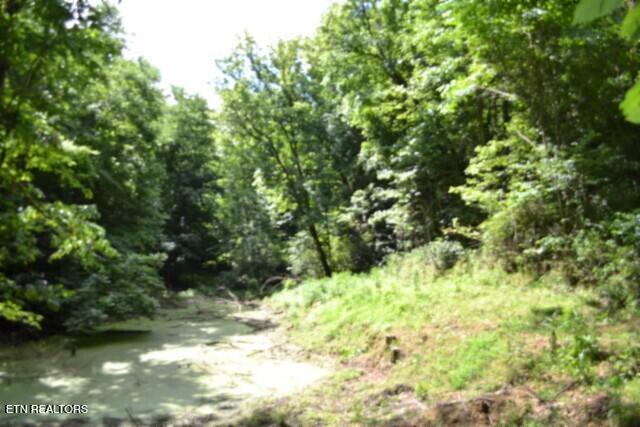 425 Baugh Hollow Lane Gainesboro TN 38562