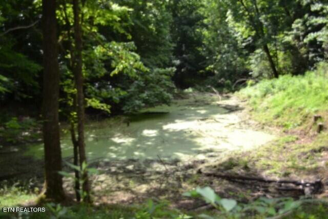 425 Baugh Hollow Lane Gainesboro TN 38562