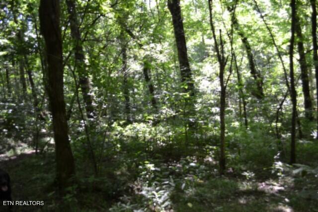 425 Baugh Hollow Lane Gainesboro TN 38562