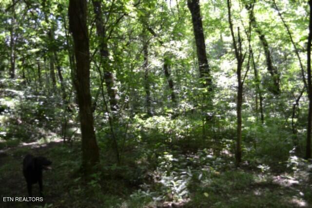 425 Baugh Hollow Lane Gainesboro TN 38562