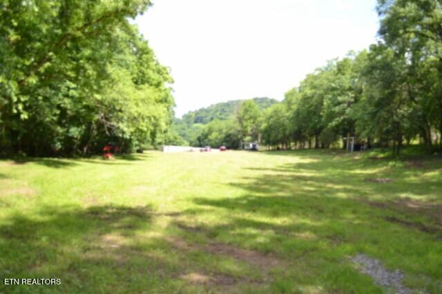 425 Baugh Hollow Lane Gainesboro TN 38562